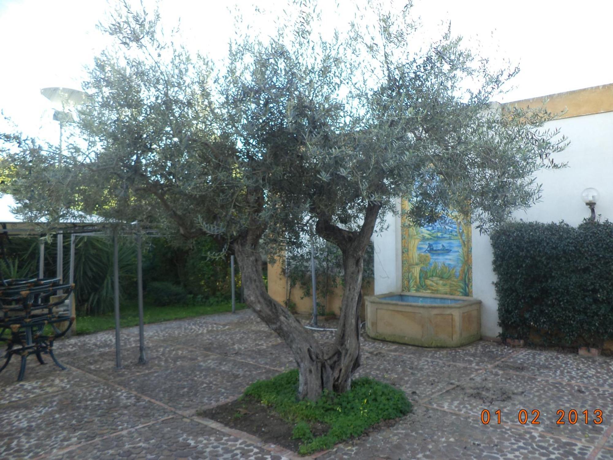 Hotel Villa Palocla Sciacca Exterior photo